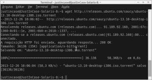 wget download torrent ubuntu 13.10
