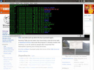 Captura de tela do terminal XFCE4