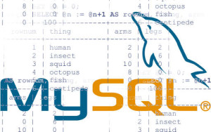 mysql numbered lines tables