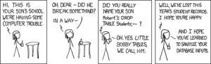 Cartoon - how sql injection work