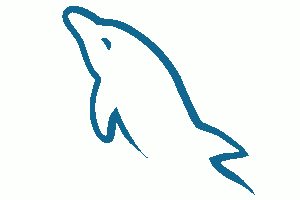 mysql dolphin