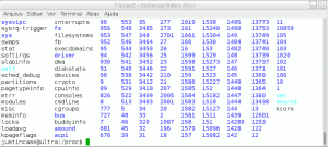 captura de tela da listagem do diretório /proc em um sistema GNU/Linux por Elias Praciano