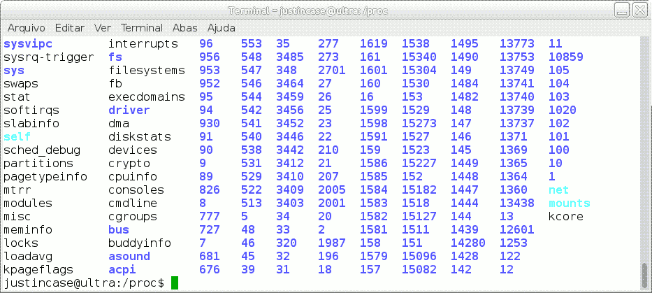 captura de tela da listagem do diretório /proc em um sistema GNU/Linux por Elias Praciano