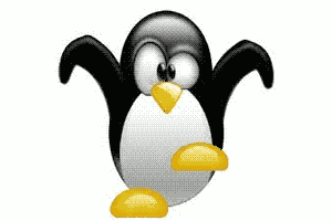 Linux tux ninja