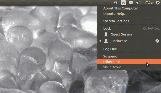 hibernate-in-menu-ubuntu