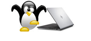 pinguim e laptop