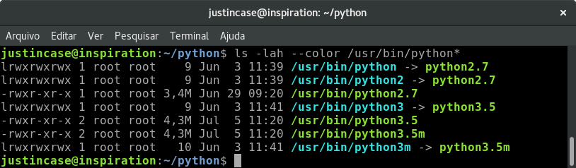 python links default interpreter