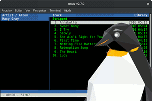 linux cmus cli player and penguin
