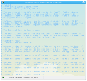vi text editor on Linux Konsole