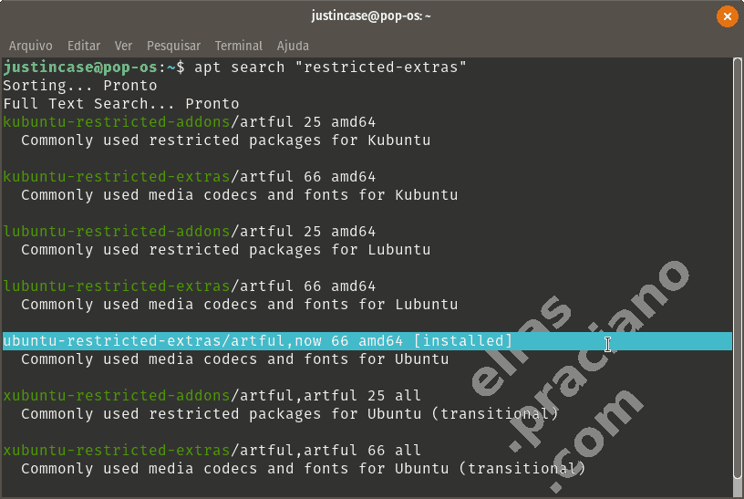 Ubuntu restricted extras e addons